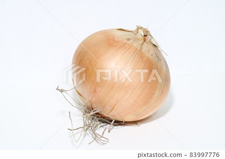 蔥 蔥 83997776