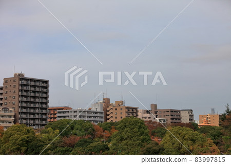Image of buildings in Tokyo Image of buildings in Tokyo 83997815