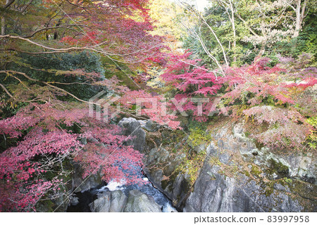 Kawachi Valley Kawachi Valley 83997958