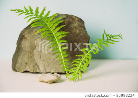 Podium made of natural materials: stone and fern for the presentation of cosmetic products. Background with green plants. Copy space, front view Podium made of natural materials: stone and fern for the presentation of cosmetic products. Background with green plants. Copy space, front view 83998224