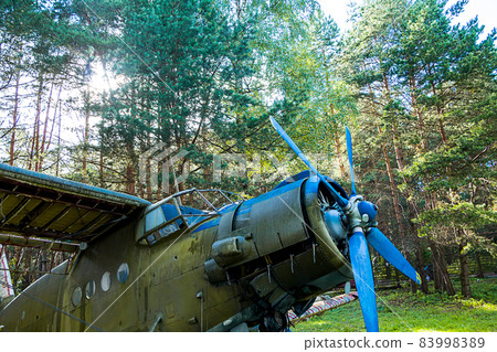 Old abandoned aircraft in the forest Old abandoned aircraft in the forest 83998389