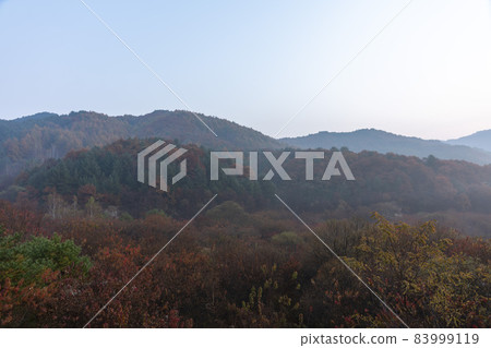 Secret Garden, Inje County, Gangwon Province Secret Garden, Inje County, Gangwon Province 83999119