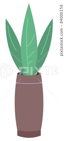 Flower in tall vase. Flat home plant vector illustration Flower in tall vase. Flat home plant vector illustration 84000158