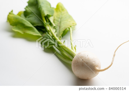 Turnip Turnip 84000314