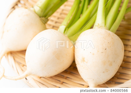 Turnip Turnip 84000566