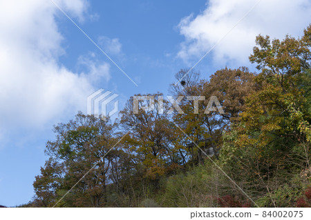 Osan, Saseongam, Gurye, Jeonnam Osan, Saseongam, Gurye, Jeonnam 84002075