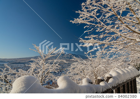 (Yamanashi Prefecture) Snowfall Arakurayama Sengen Park / Mt. Fuji (Yamanashi Prefecture) Snowfall Arakurayama Sengen Park / Mt. Fuji 84002380