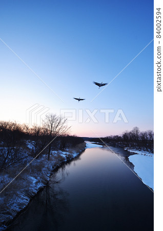 棲息起重機（北海道） 84002594