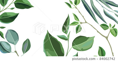 Card or background with branches and green leaves. Spring or summer stylized foliage. 84002742