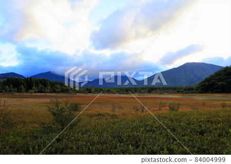Autumn leaves and lady in Odashirogahara / Nikko City, Tochigi Prefecture Autumn leaves and lady in Odashirogahara / Nikko City, Tochigi Prefecture 84004999