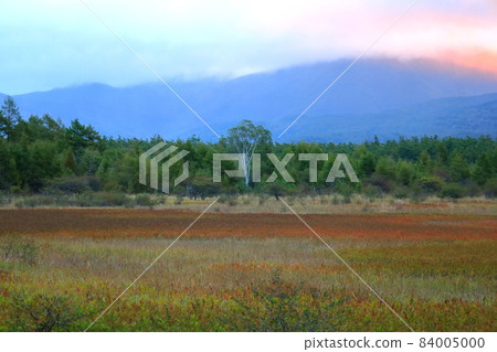 Autumn leaves and lady in Odashirogahara / Nikko City, Tochigi Prefecture Autumn leaves and lady in Odashirogahara / Nikko City, Tochigi Prefecture 84005000
