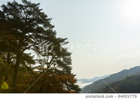 江原道仁濟郡雲海 84005779