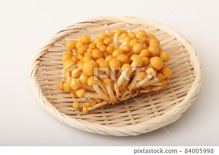 Nameko stocks 84005998