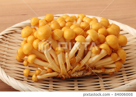 Nameko stocks Nameko stocks 84006008