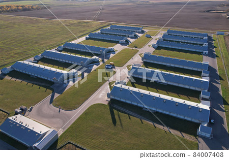 Farm building with cows and pigs in the village, aerial view.  84007408