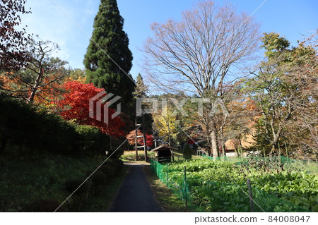 Blue sky, thin clouds, forests of trees of various colors, mountains, huts, fire lookout towers, old folk houses, green vegetable fields, shadow roads, and landscapes of hedges. Blue sky, thin clouds, forests of trees of various colors, mountains, huts, fire lookout towers, old folk houses, green vegetable fields, shadow roads, and landscapes of hedges. 84008047