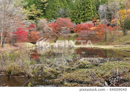 Takadoya Marsh in late autumn 84009040