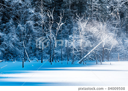 Scenery of Lake Shizenko (winter) Scenery of Lake Shizenko (winter) 84009508