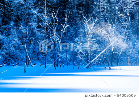 Shizenko湖的風景(冬天) Shizenko湖的風景(冬天) 84009509