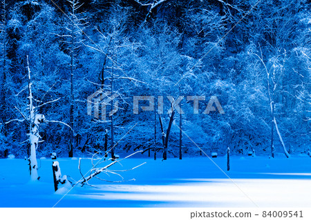Scenery of Lake Shizenko (winter) 84009541