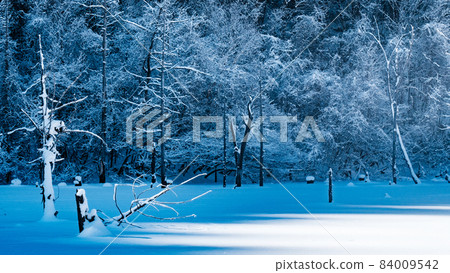 Scenery of Lake Shizenko (winter) 84009542