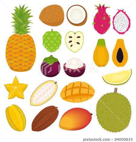 Tropical fruit illustration set Tropical fruit illustration set 84009833