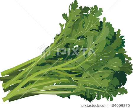 Shanda Shanda 84009870