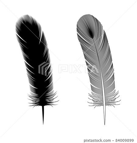 Illustration of bird feathers (painting and lines) (white background, vector, clipping) 84009899