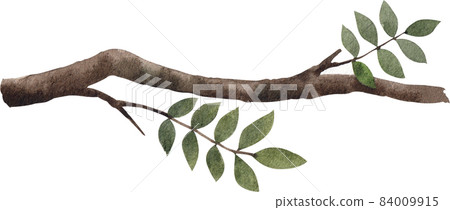 Green leaf and tree branch watercolor clipart Green leaf and tree branch watercolor clipart 84009915