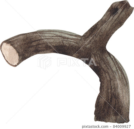 tree branch watercolor 84009927