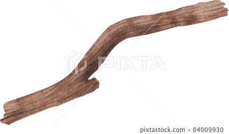 tree branch watercolor 84009930