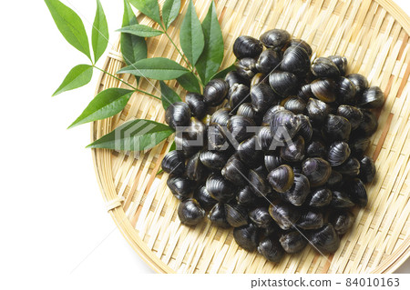 四季味21 84010163