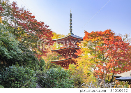 充滿秋色的岡寺三重塔和紅葉手水 84010652