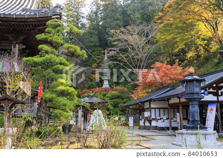 充滿秋色的岡寺三重塔和紅葉手水 充滿秋色的岡寺三重塔和紅葉手水 84010653