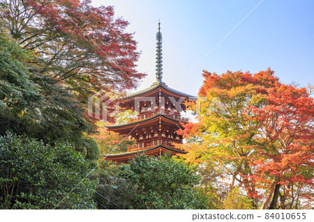 充滿秋色的岡寺三重塔和紅葉手水 充滿秋色的岡寺三重塔和紅葉手水 84010655