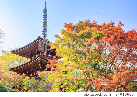 Okadera Mie Tower and Momiji Tesui in full of autumn colors 84010656