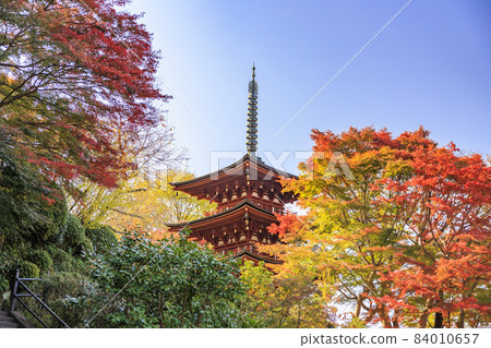 Okadera Mie Tower and Momiji Tesui in full of autumn colors 84010657