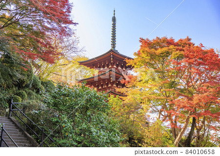 充滿秋色的岡寺三重塔和紅葉手水 充滿秋色的岡寺三重塔和紅葉手水 84010658