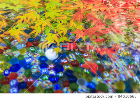 充滿秋色的岡寺三重塔和紅葉手水 84010663