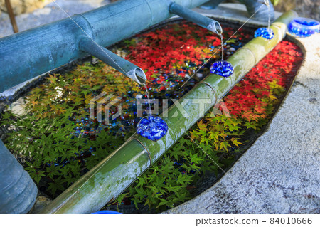 充滿秋色的岡寺三重塔和紅葉手水 84010666