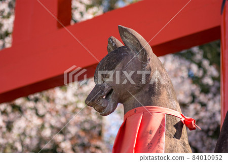 Statue of a Kitsune, Japanese Shinto red fox god, in Fushimi Inari in Kyoto Statue of a Kitsune, Japanese Shinto red fox god, in Fushimi Inari in Kyoto 84010952