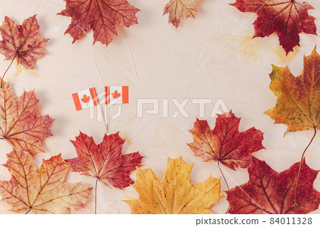 Canada background with small toothpick flags for food decoration and fall maple leaves. Abstract autumn layout. Top view, copy space Canada background with small toothpick flags for food decoration and fall maple leaves. Abstract autumn layout. Top view, copy space 84011328