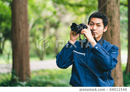 Forest work 84011548