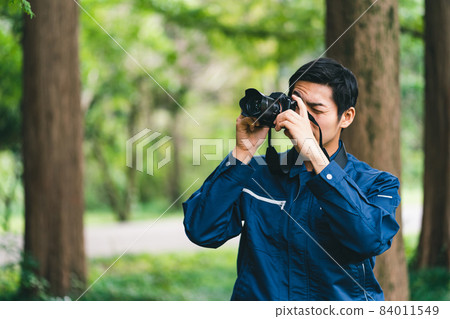 Forest work Forest work 84011549