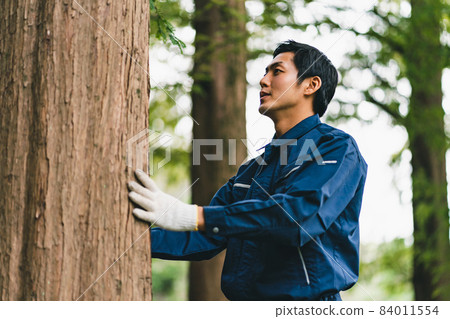 Forest work 84011554