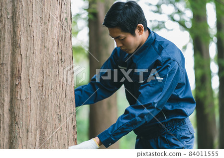 Forest work Forest work 84011555