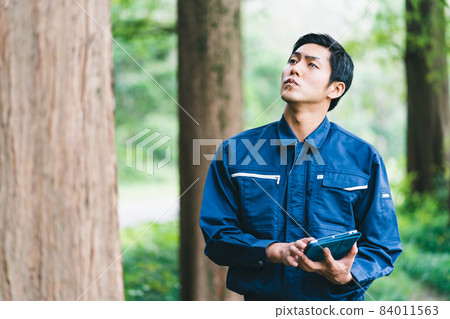 Forest work 84011563