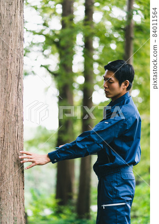 Forest work 84011564