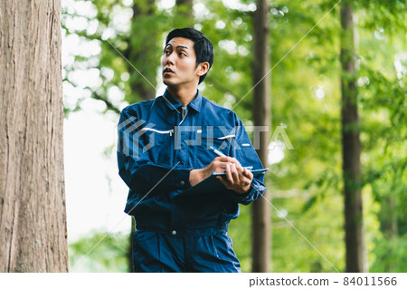 Forest work 84011566