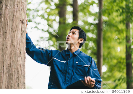 Forest work Forest work 84011569